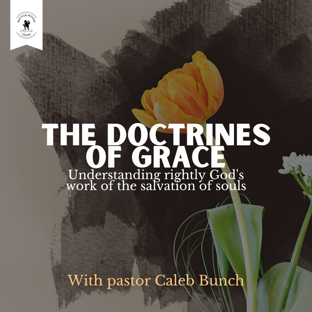The Doctrines of Grace